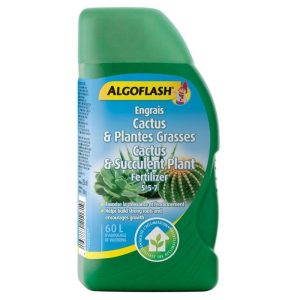 Engrais pour cactus et plantes grasses