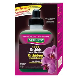 Engrais pour Orchidée