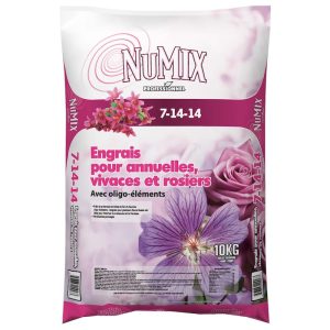 Engrais vivaces, annuelles et rosiers