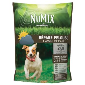 Répare pelouse