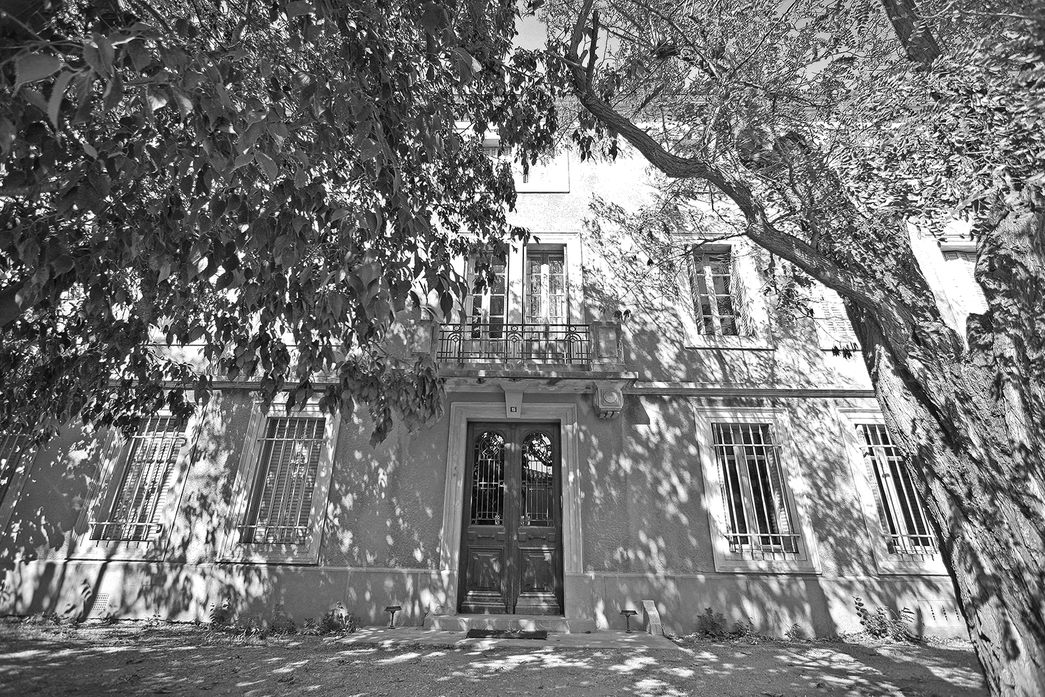 Ban des Cigales Moelleux-Château Coulon – Image 4