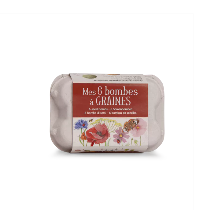 Set de 6 bombes à graines dans leur boîte à œufs Le jardin du moulin – Moulin Roty – Image 4