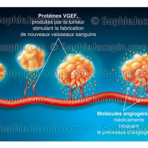 MÉDICAMENTS ANTI-ANGIOGÉNIQUES