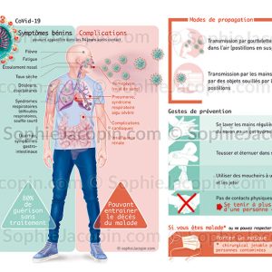 COVID-19 – SYMPTÔMES – GESTES BARRIÈRE