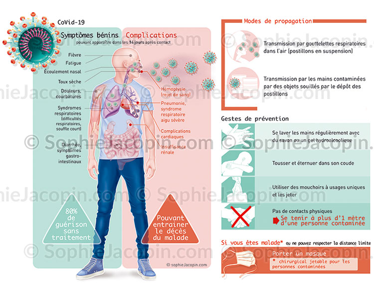 COVID-19 – SYMPTÔMES – GESTES BARRIÈRE